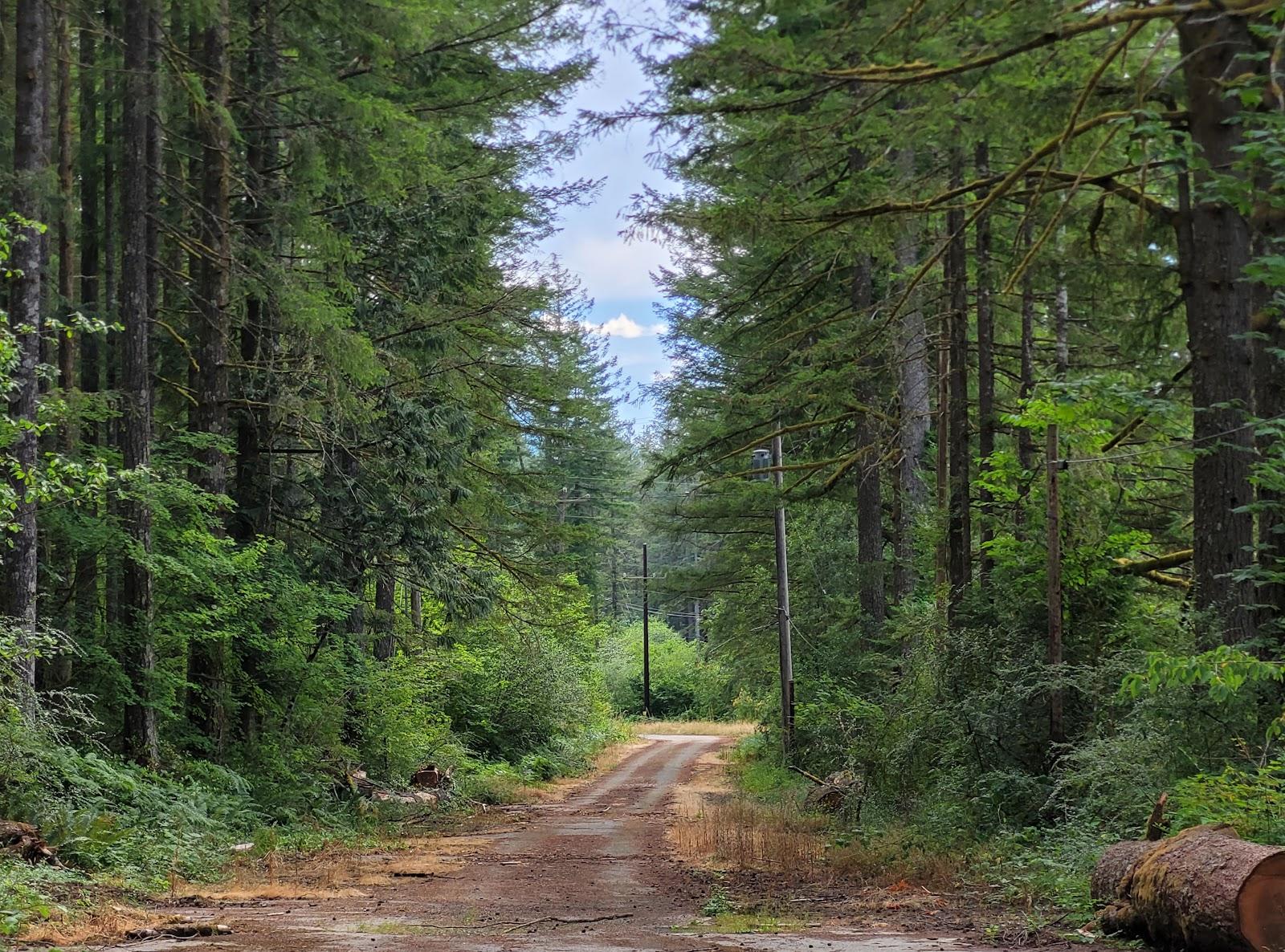 Sandee Palouse To Cascades State Park Trail - Cedar Falls Trailhead