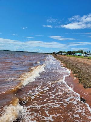 Sandee - Linkletter Provincial Park