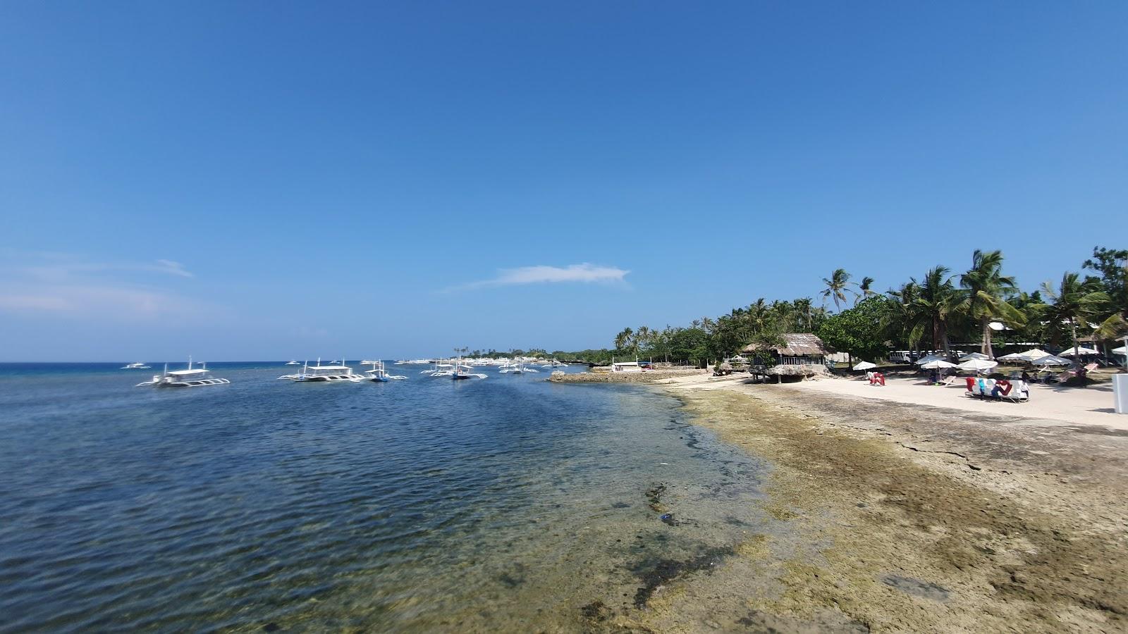 Sandee Maribago Public Beach Photo