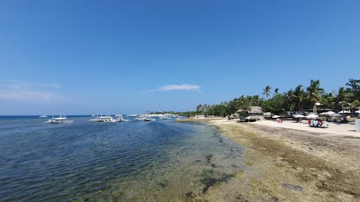 Sandee Maribago Public Beach Photo