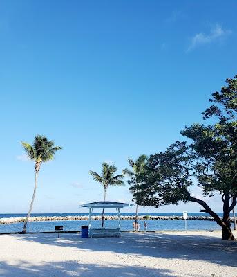 Sandee - Harry Harris Beach Park