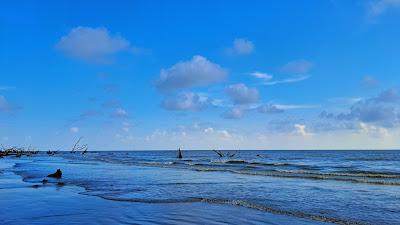 Sandee - Tengragiri Eco Park Beach