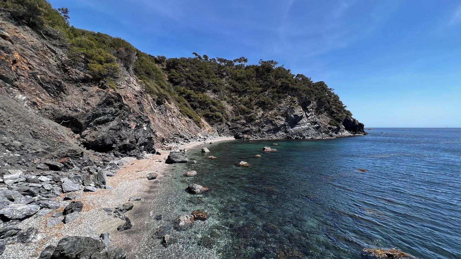 Sandee Plage Du Trou De L'Or