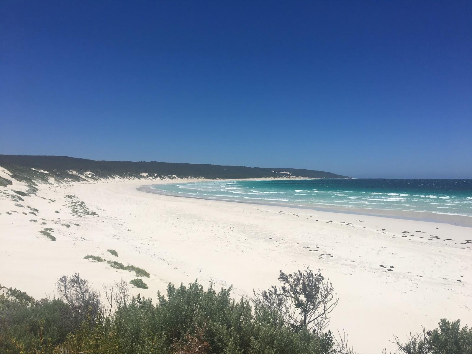 Sandee Deepdene Beach
