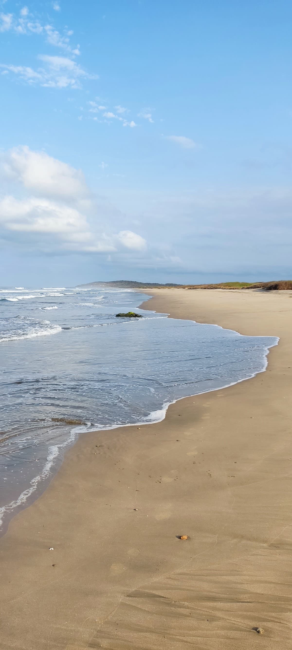 Sandee - Playa Hinchahuevo