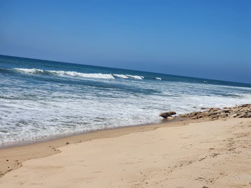 Sandee Navadra Beach Photo