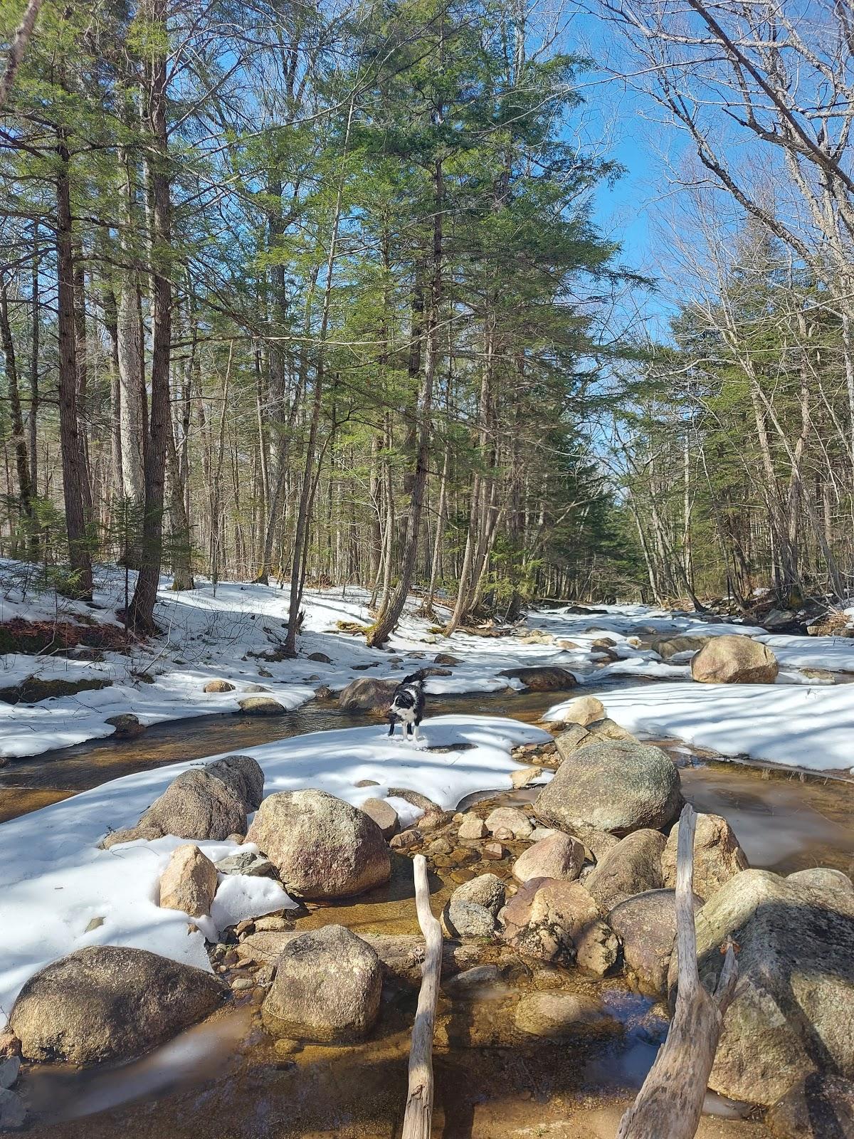 Sandee - Smarts Brook Swimming Hole