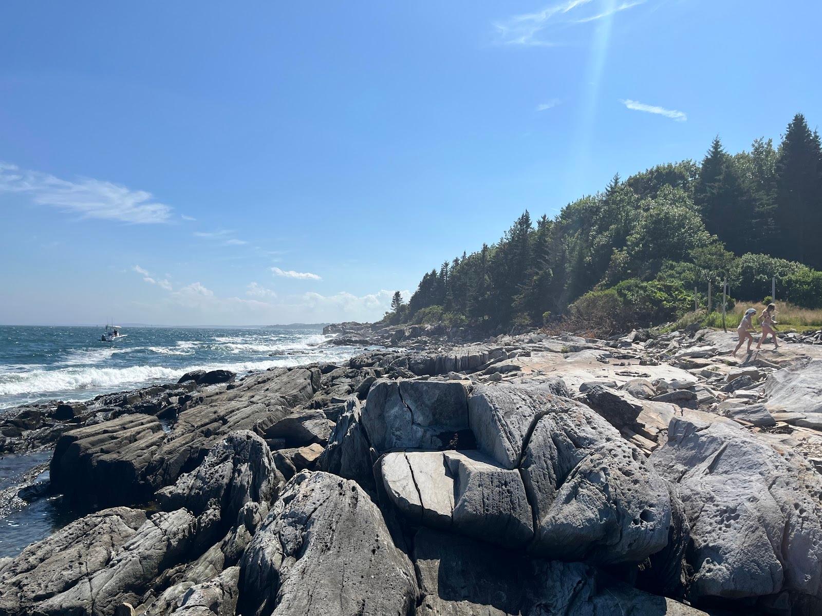 Sandee Andrews Beach Photo