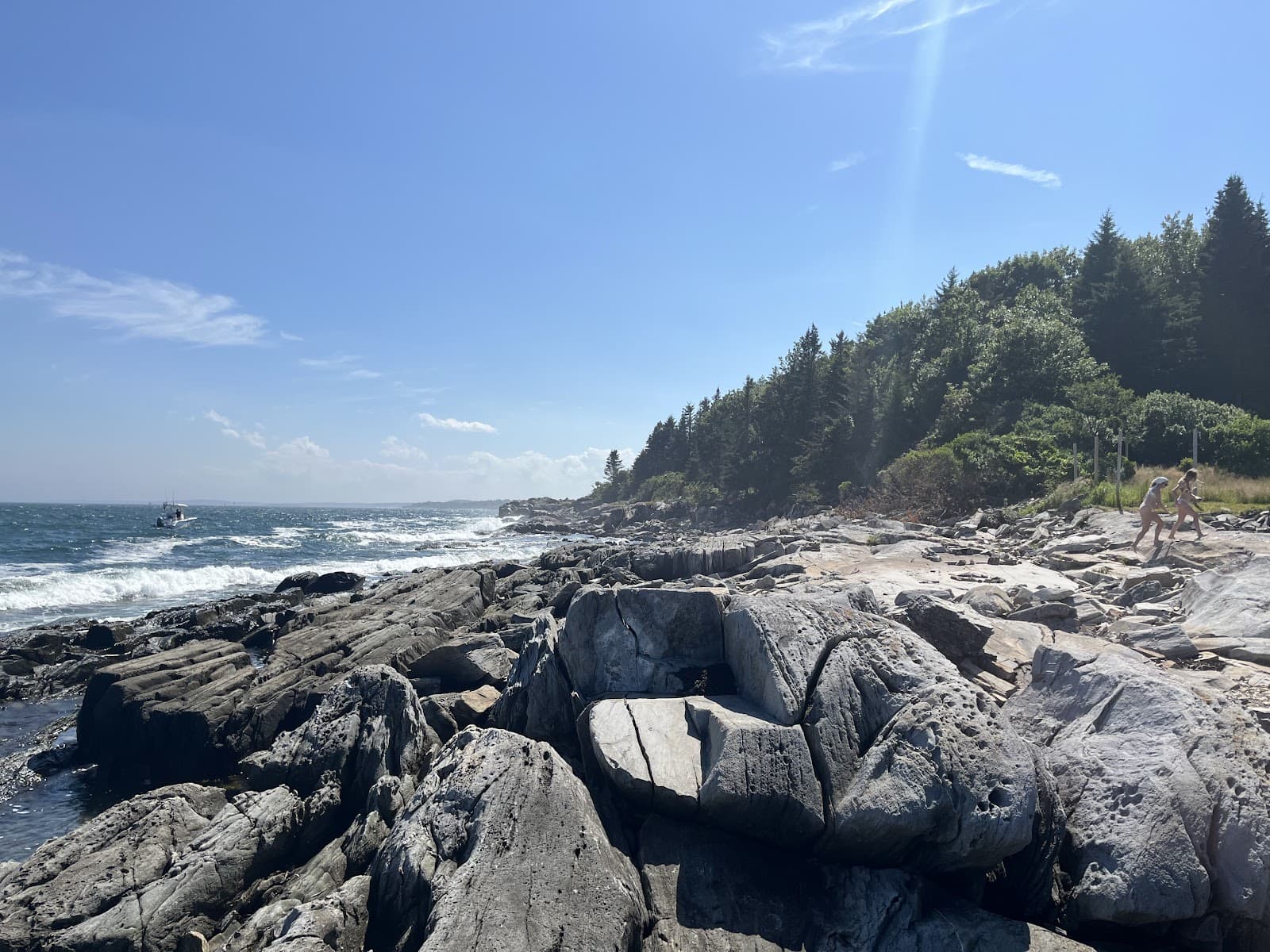 Sandee Andrews Beach Photo