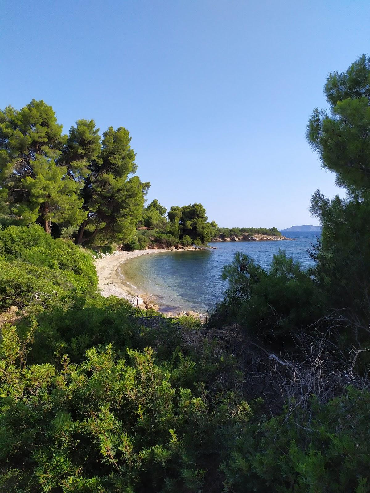 Sandee Sofia's Beach