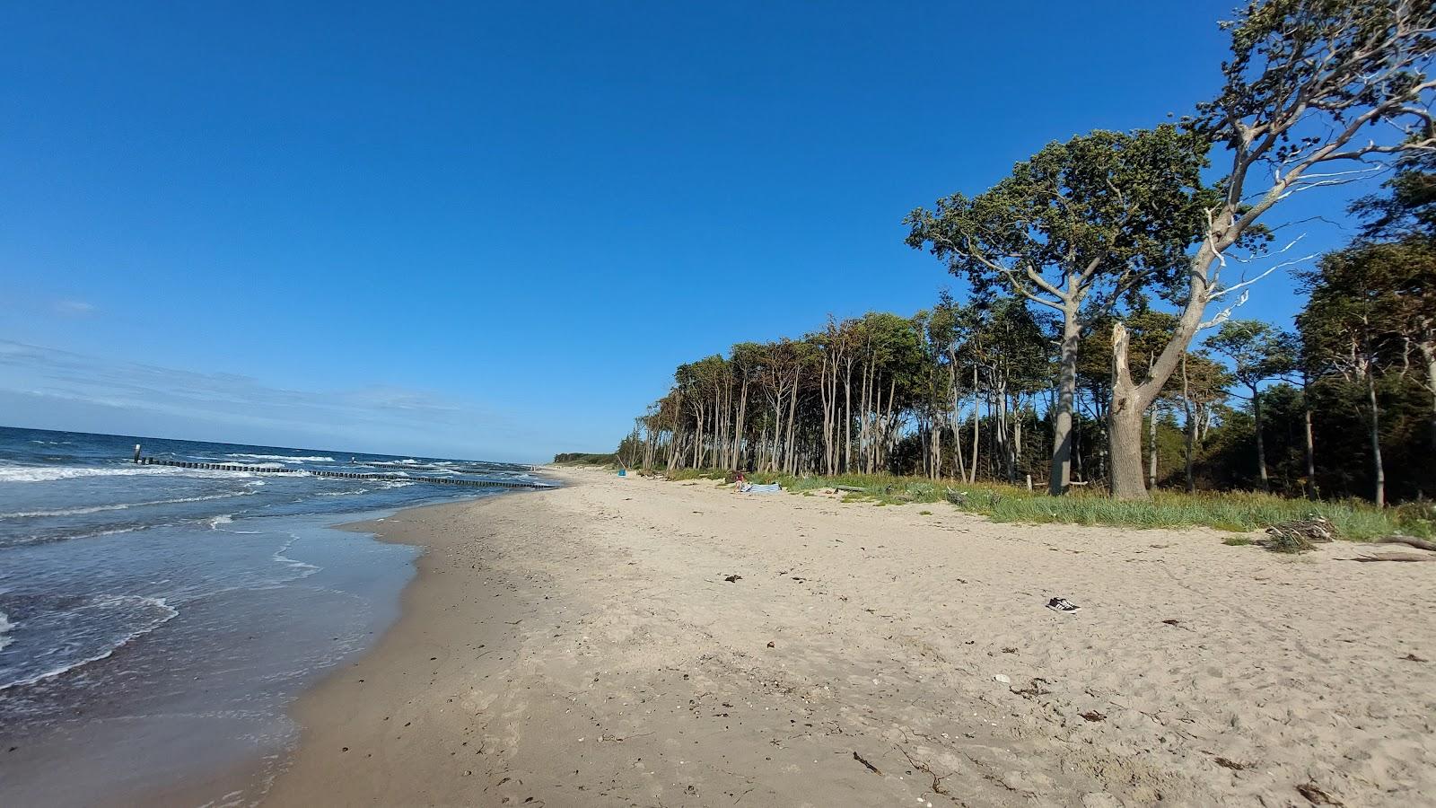 Sandee Fkk Strand Graal Muritz
