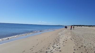 Sandee - Praia De Adao E Eva