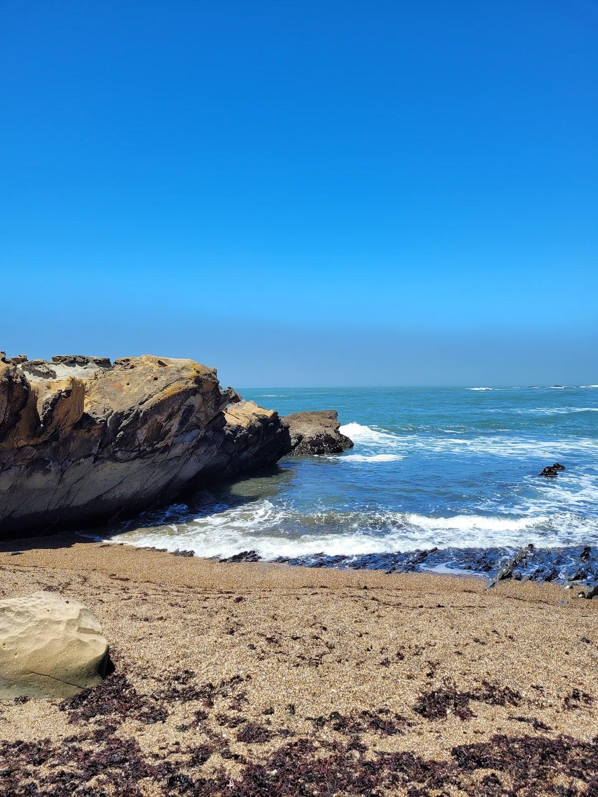 Sandee - Bean Hollow State Beach