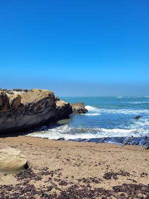 Sandee - Bean Hollow State Beach