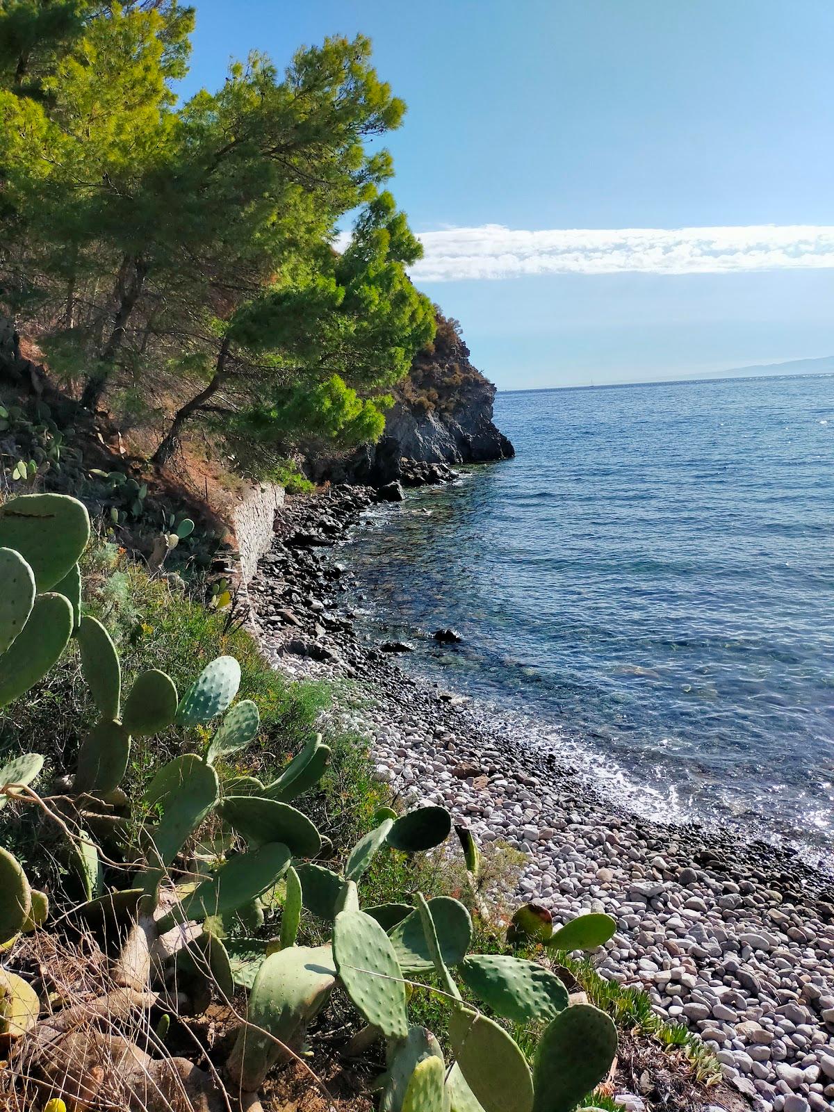 Sandee - La Forbice Beach