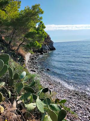 Sandee - La Forbice Beach