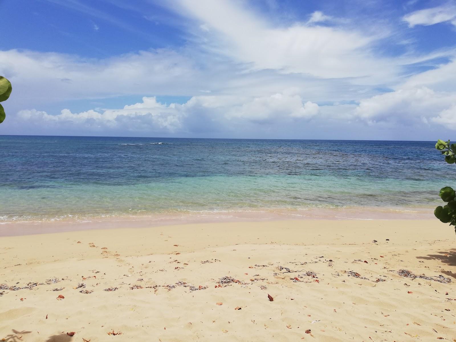 Sandee Playa Larga