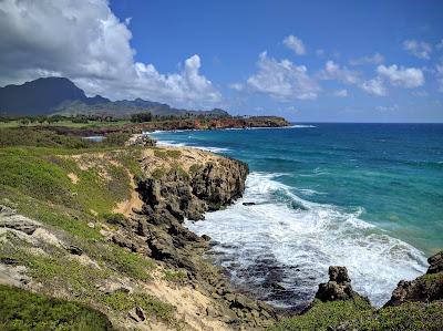 Sandee - Papaa Bay Beach