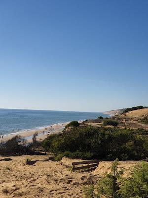 Sandee - Playa De Matalascanas