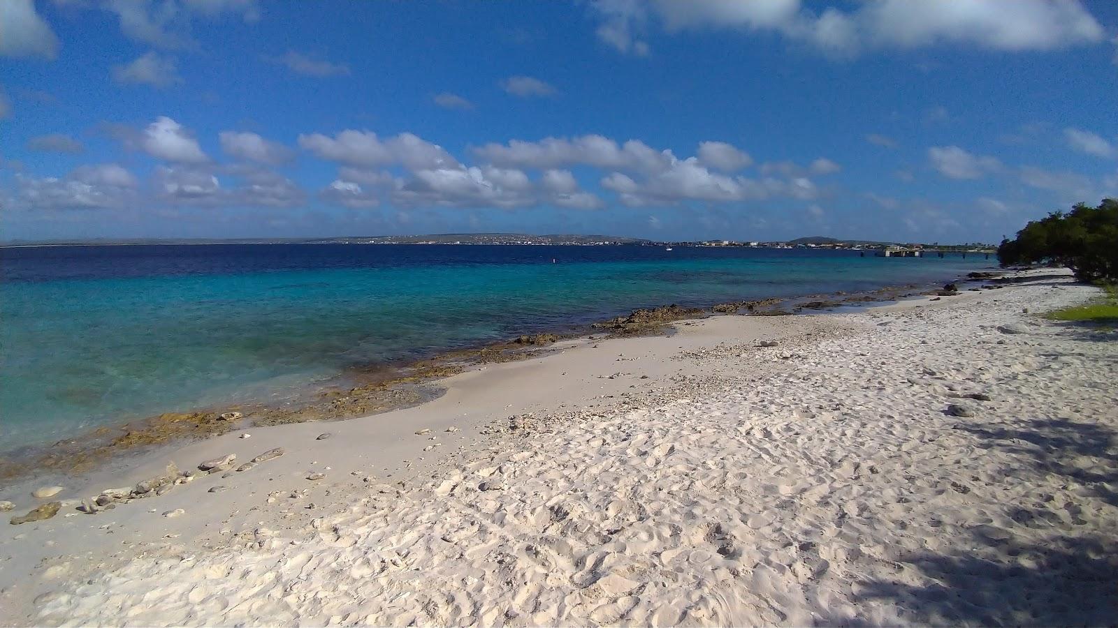 Sandee Playa Palu Di Mangel