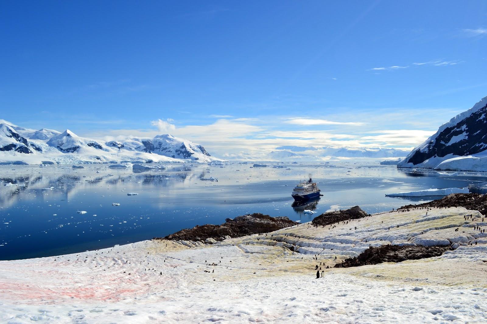 Sandee - HomePage / Andvord Bay