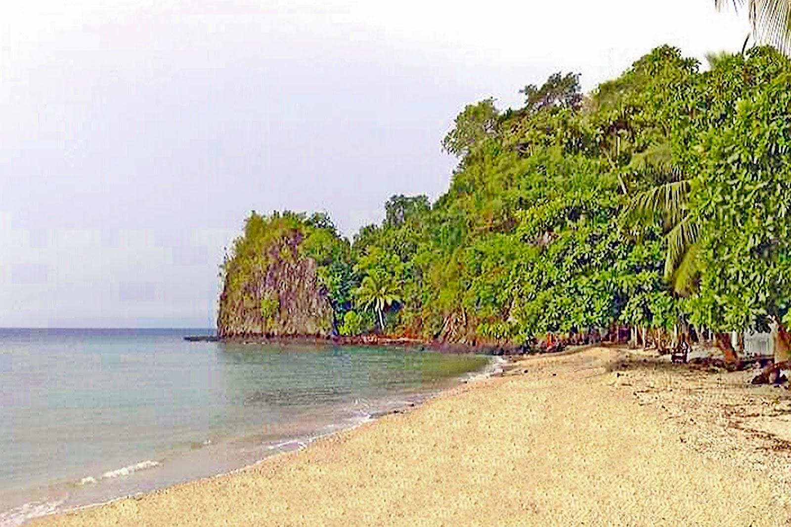 Sandee Bolihon Plaza Beach Resort