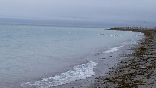 Sandee Hall Beach Photo