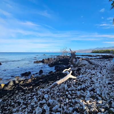 Sandee - Holoholokai Beach