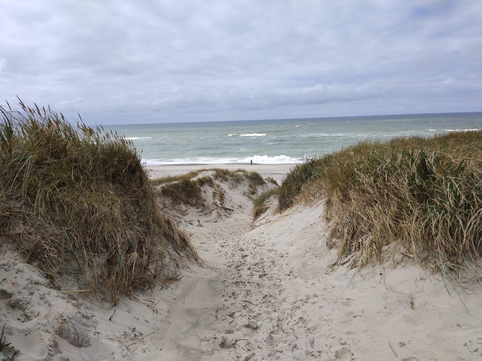 Sandee Bakbygard Strand