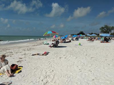 Sandee - Manatee Public Beach