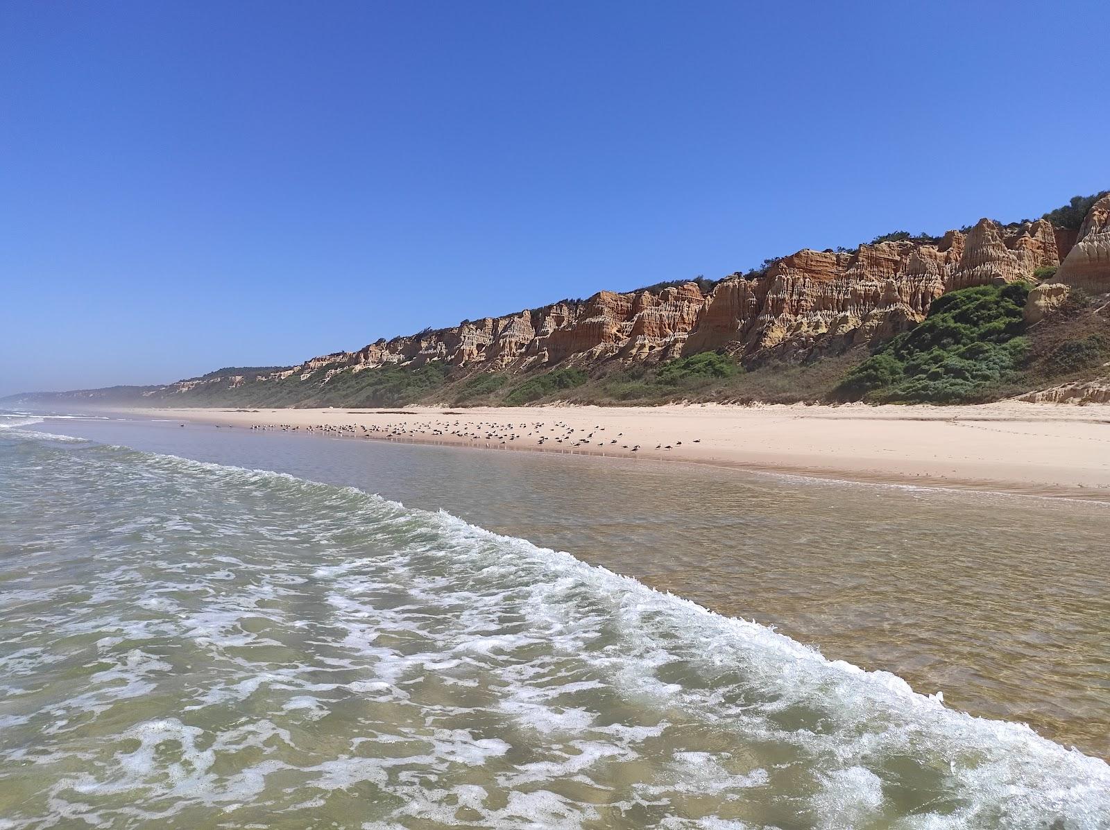 Sandee Praia Dos Medos De Albufeira