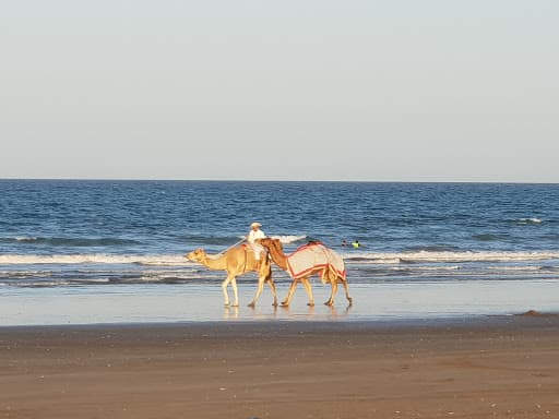 Sandee - Al-Radah Beach