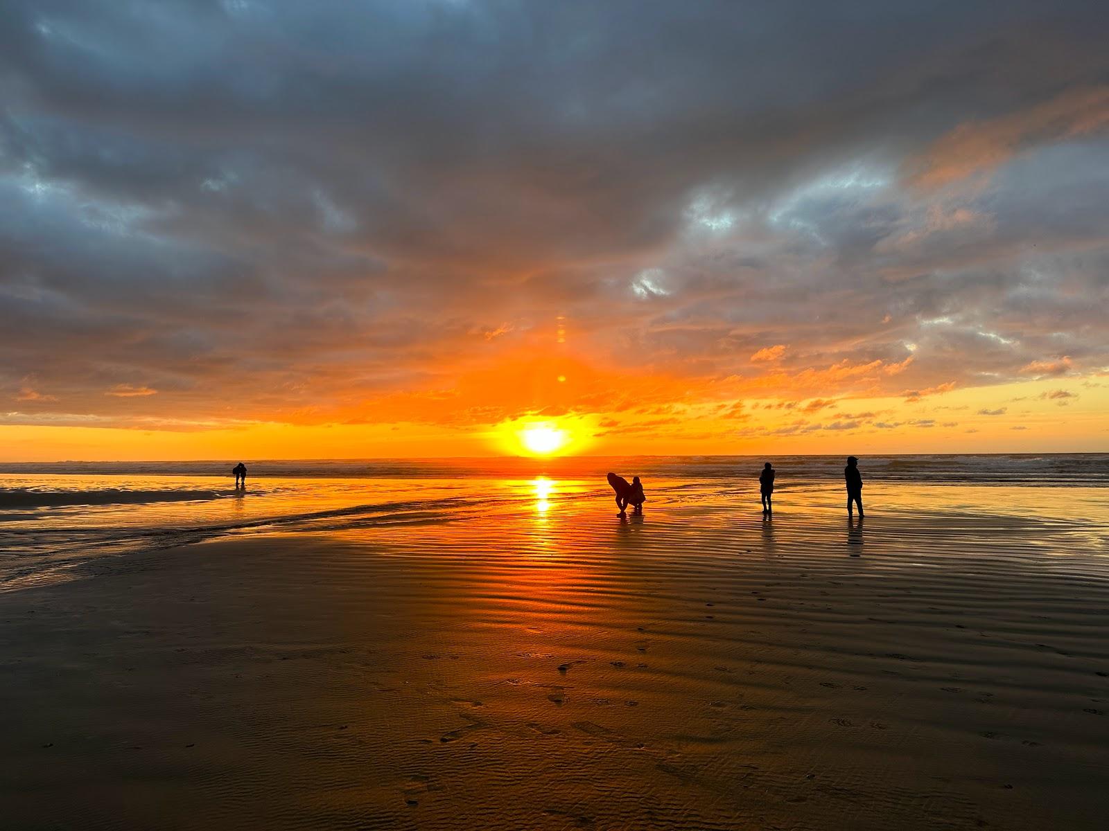 Sandee Ocean Shore State Recreation Area Photo