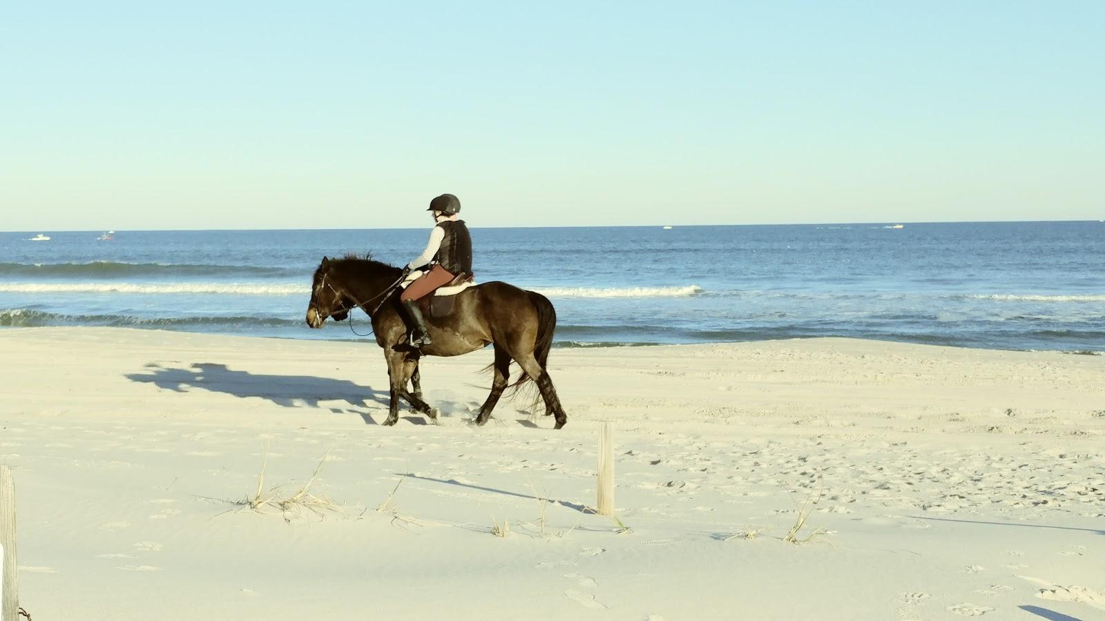 Sandee - Island Beach State Park