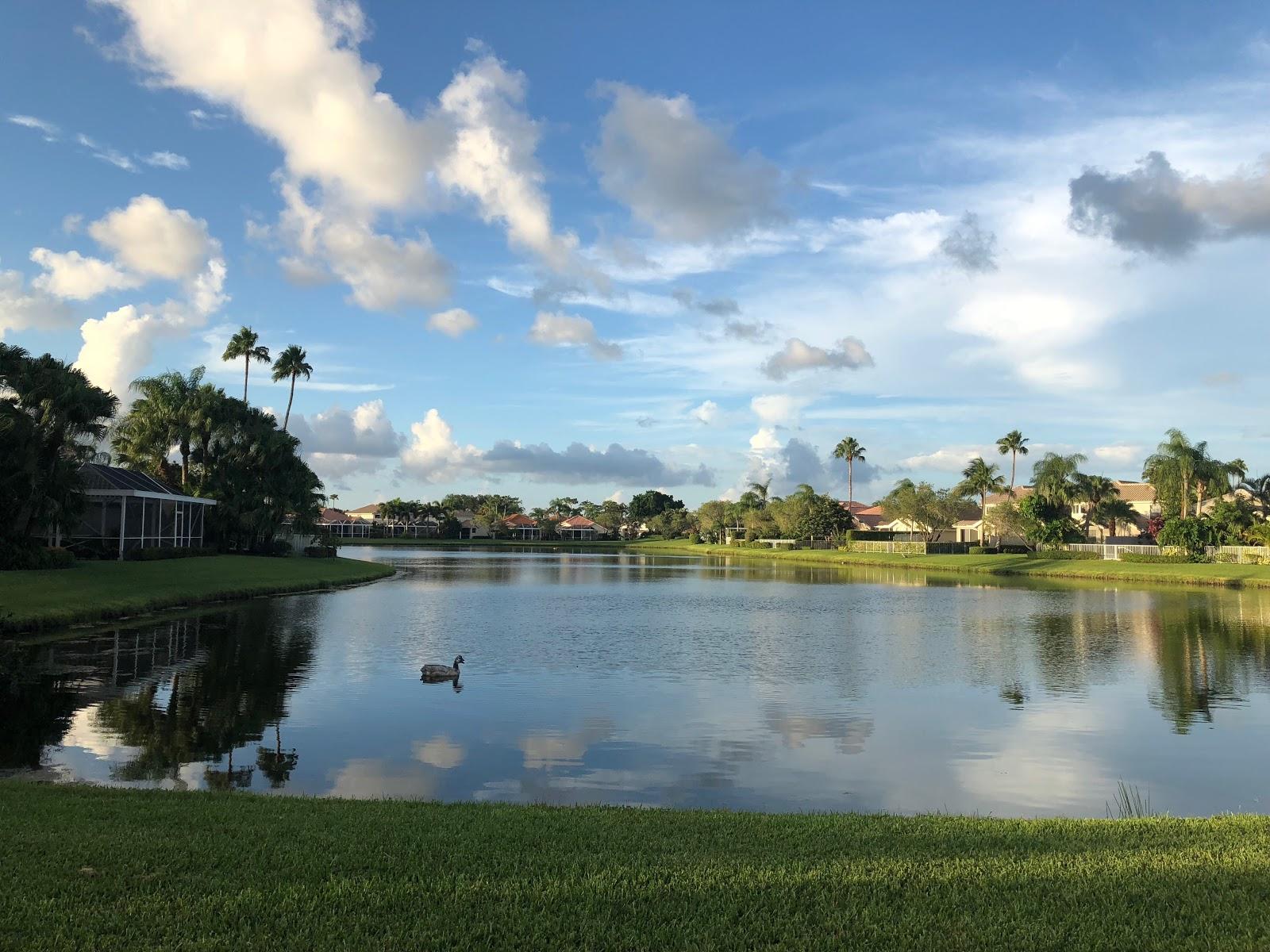 Sandee Palm Beach Garden