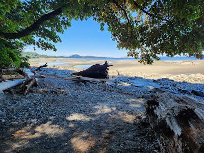 Sandee - Blueback Beach Access