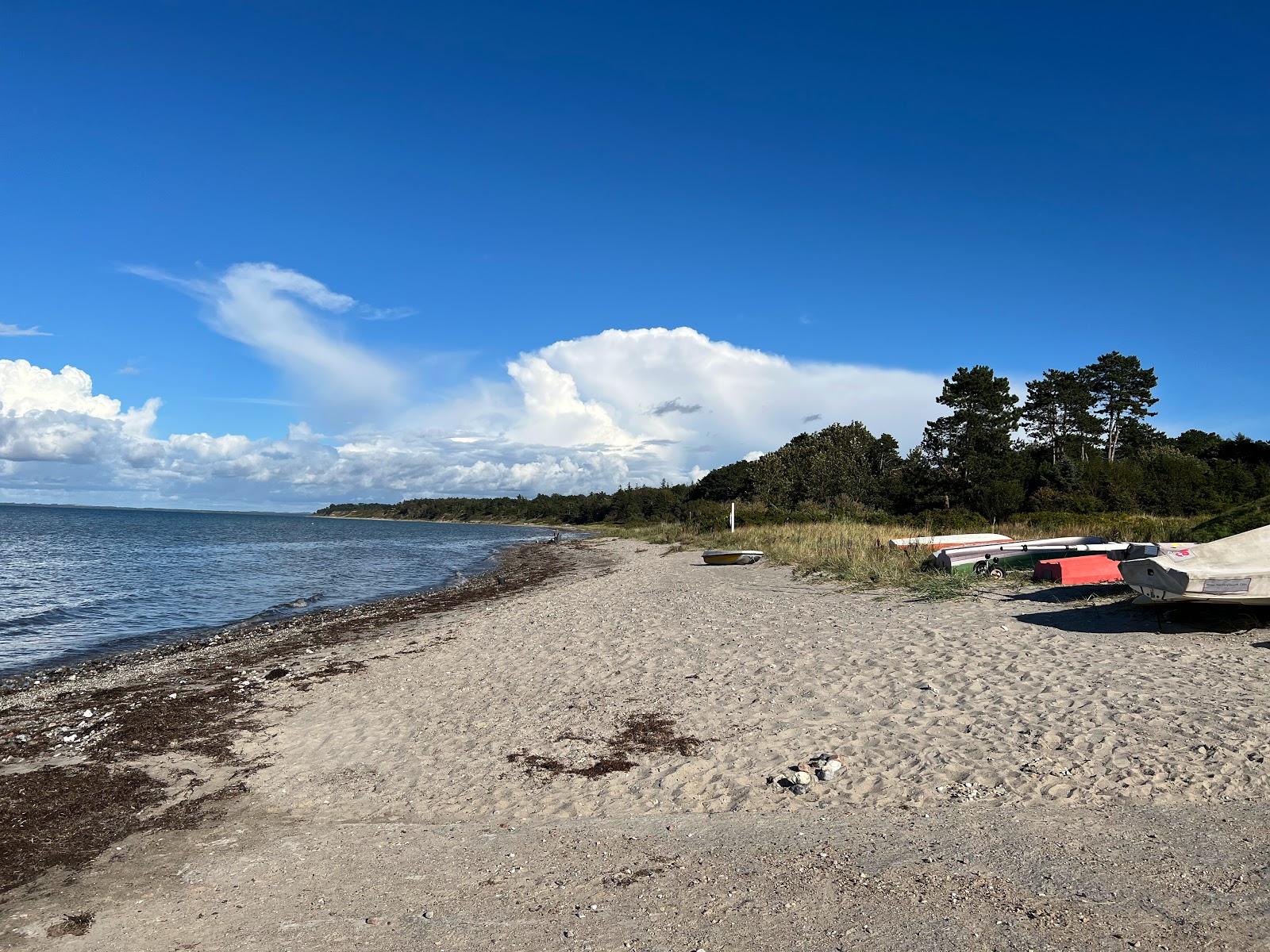Sandee Ordrup Strand