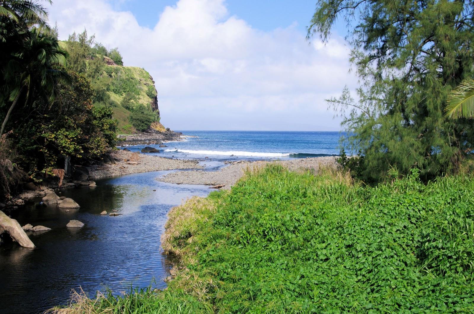 Sandee - Honokohau Bay