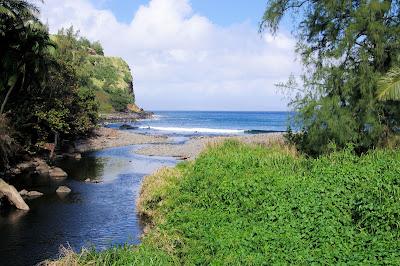 Sandee - Honokohau Bay