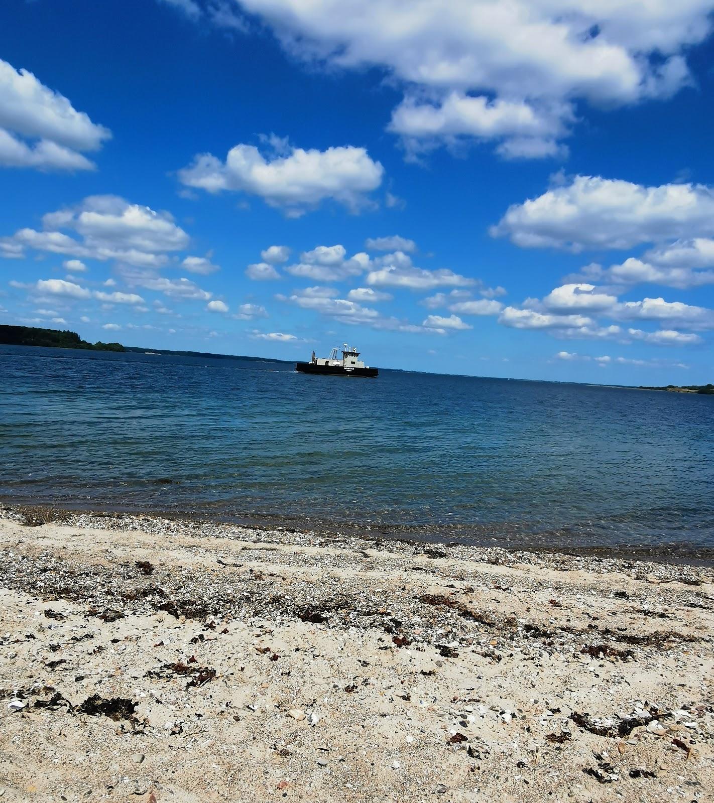 Sandee Barsø Naturist Strand Photo