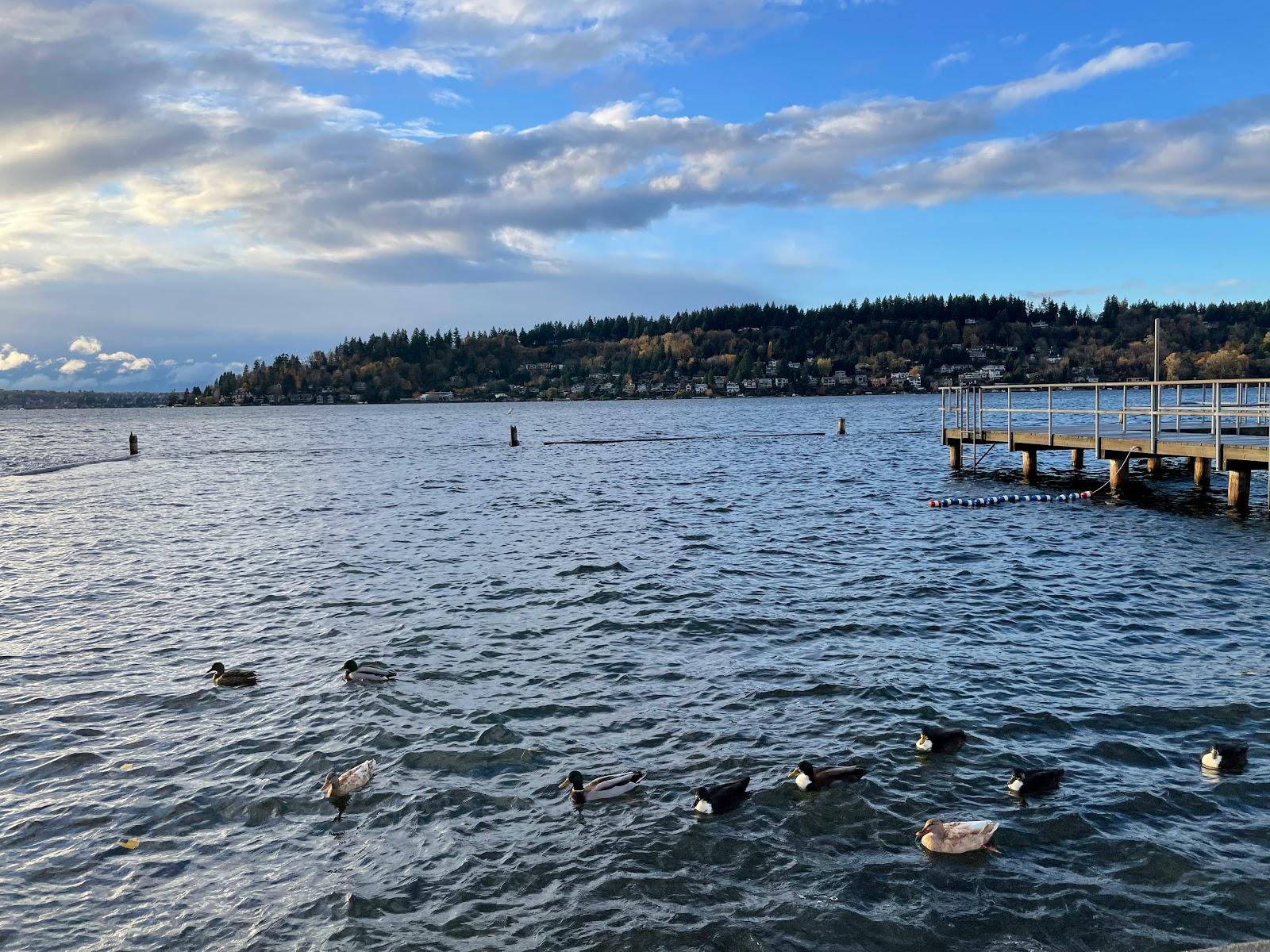 Sandee Kennydale Beach Park