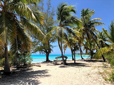 Sandee - Lighthouse Beach