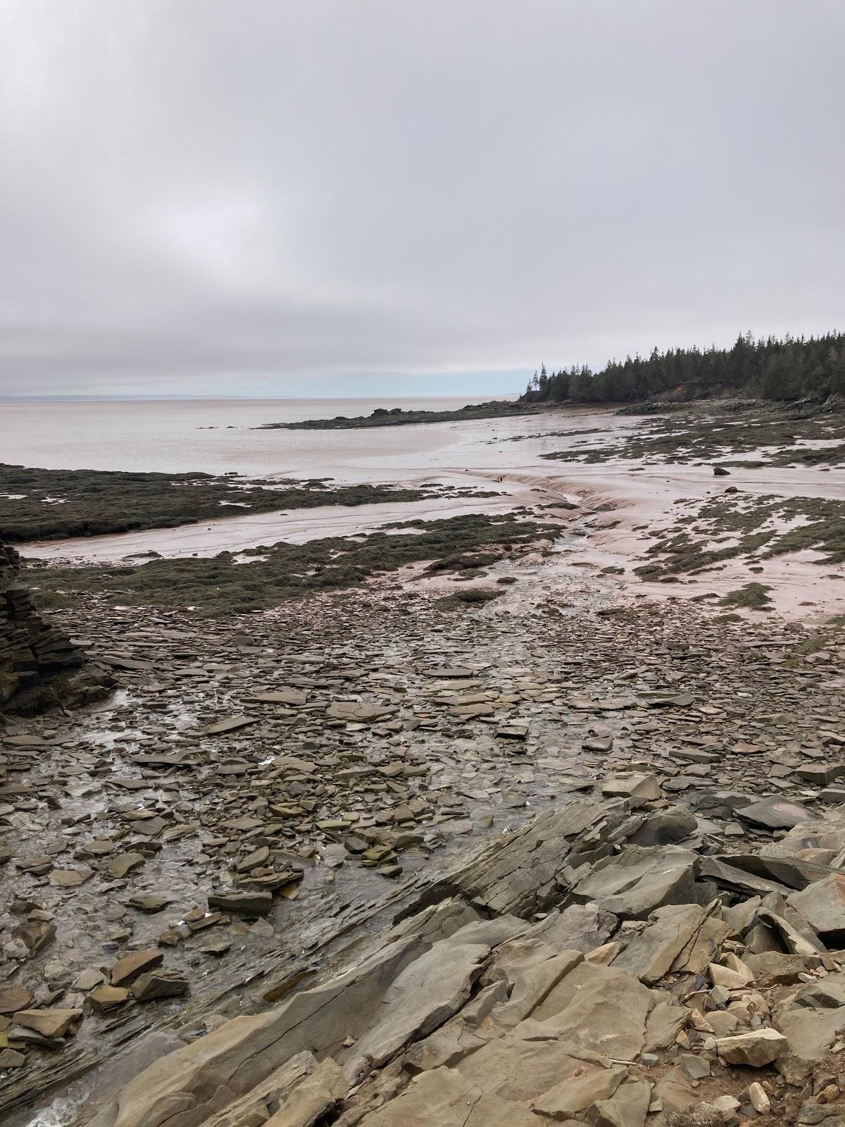 Sandee Slack's Cove Photo