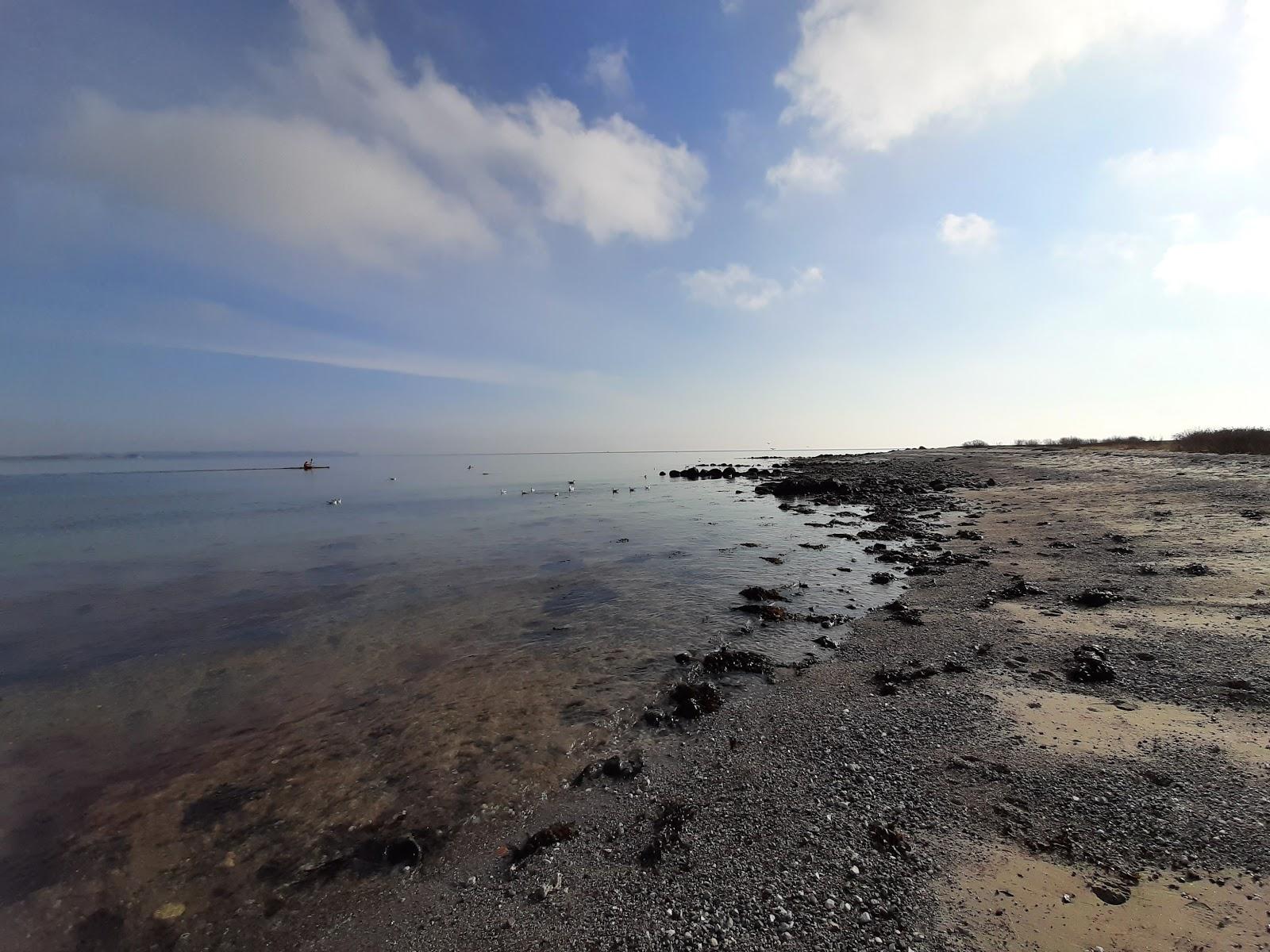 Sandee Akrogen Beach