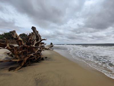 Sandee - Dungalpitiya Beach