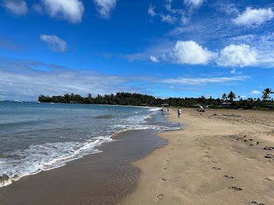 Sandee - Hanalei Beach