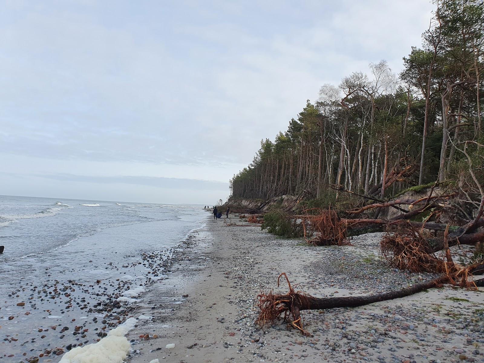 Sandee - Beach Naturystyczna Grzybowo-Dzwirzyno