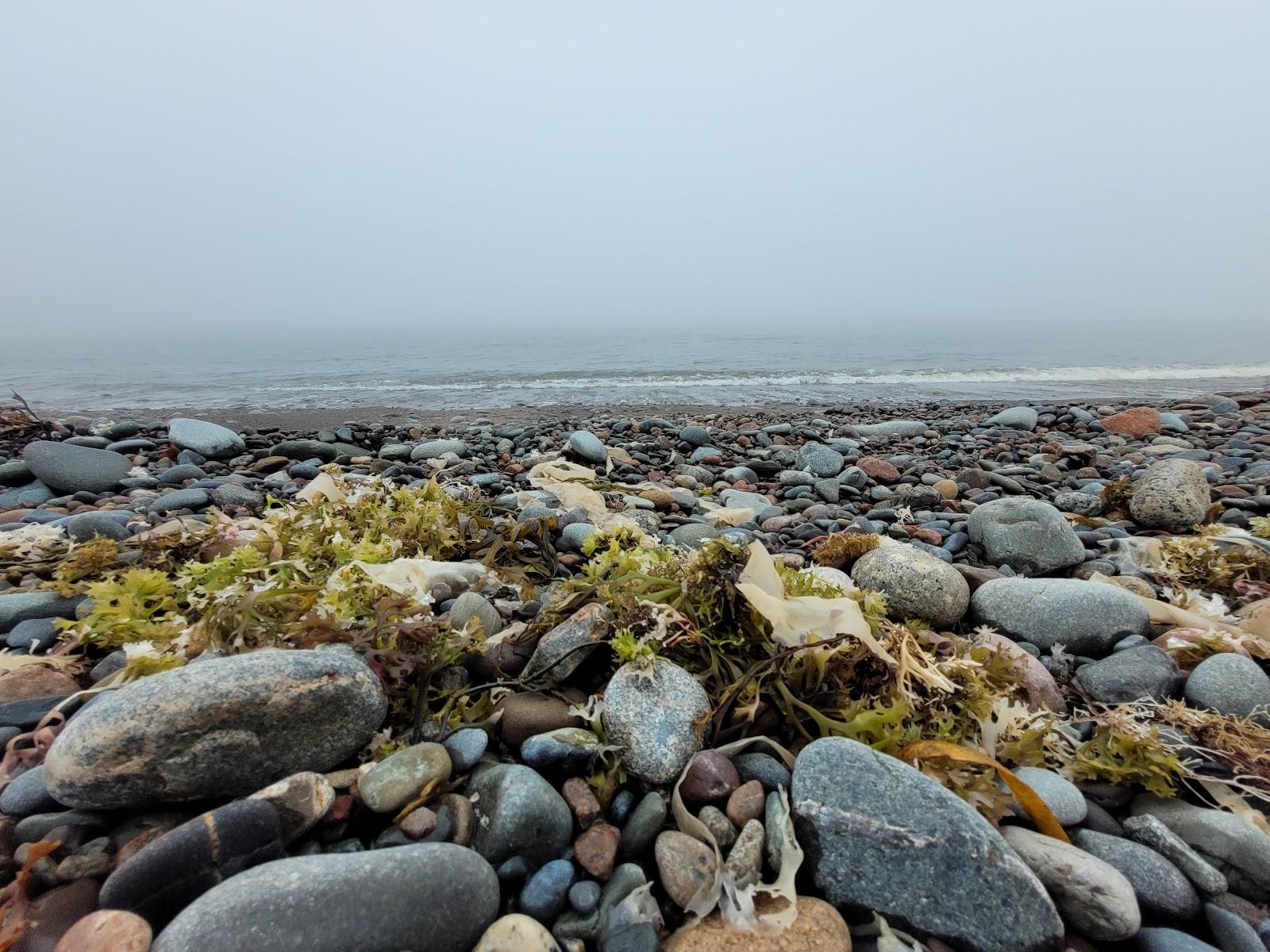 Sandee Canada's Ocean Playground