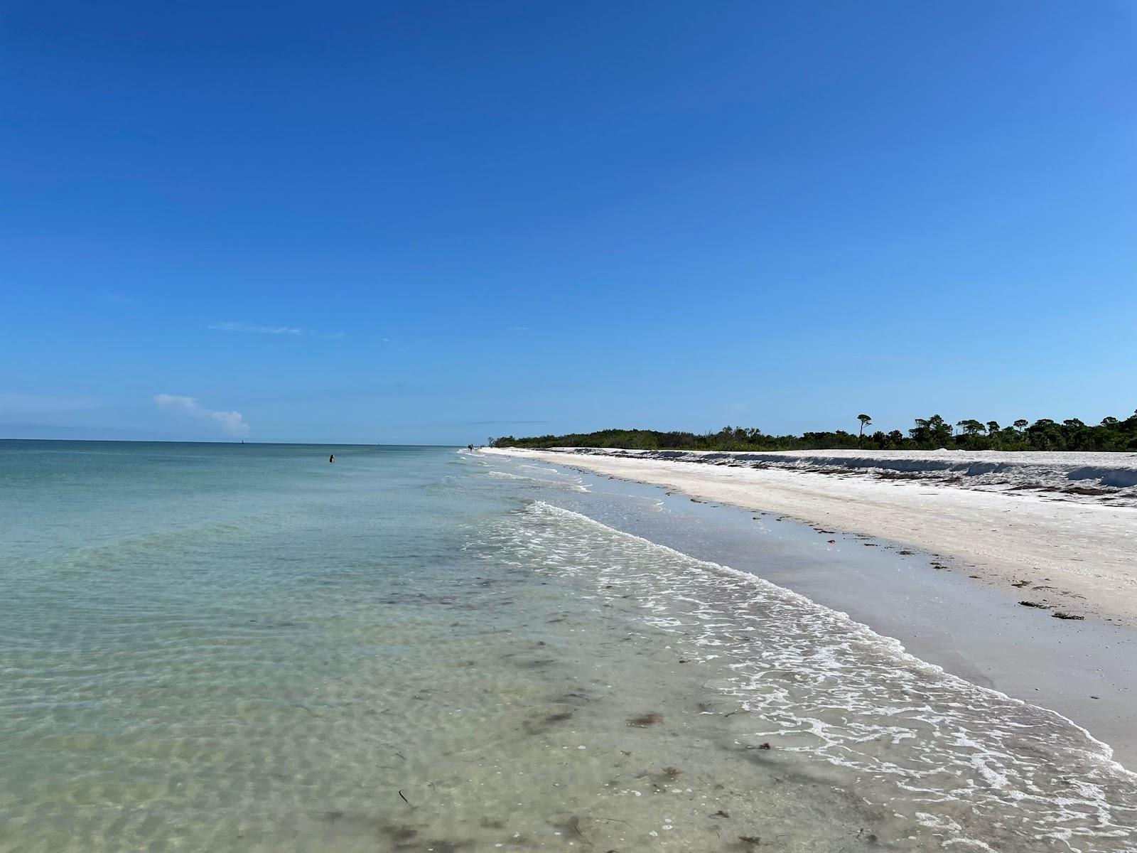 Sandee - Honeymoon Island Point Beach