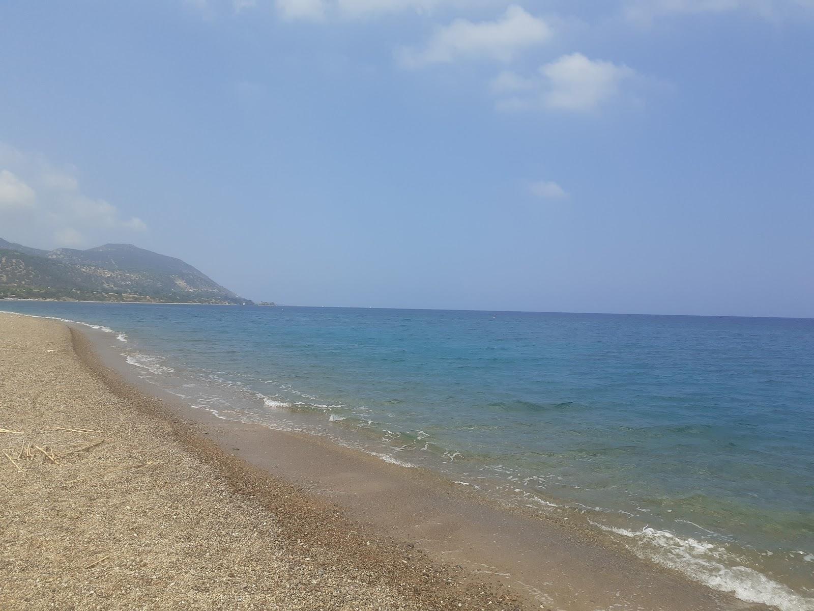 Sandee Anassa Beach